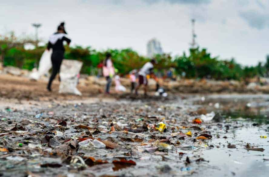 impact of plastic on ocean life